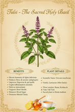Load image into Gallery viewer, Tulsi Pure Leaf (holy basil)