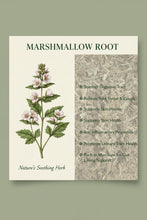 Load image into Gallery viewer, Marshmallow Root
