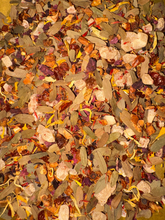 Load image into Gallery viewer, Tropic Heat Herbal Detox Blend