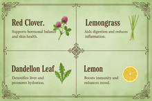 Load image into Gallery viewer, Earthy Green Detox Tea